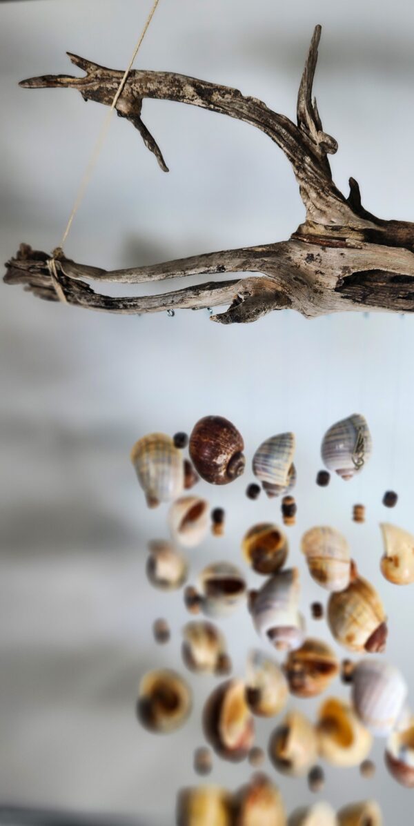 Apple snail shell windchime